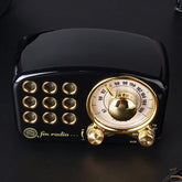 مكبر صوت راديو صغير قابل لإعادة الشحن عبر USB