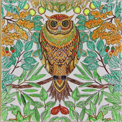 كتاب تلوين استكشاف بلاد العجائب المرسوم يدويًا