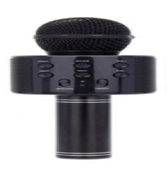 ميكروفون الفنان وصندوق الموسيقى