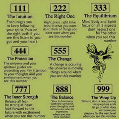 قلادة تشوكر من الفولاذ المقاوم للصدأ