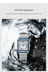 Roman Numeral Steel Watch