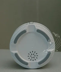 Crescent Bluetooth Sound Small Night Light