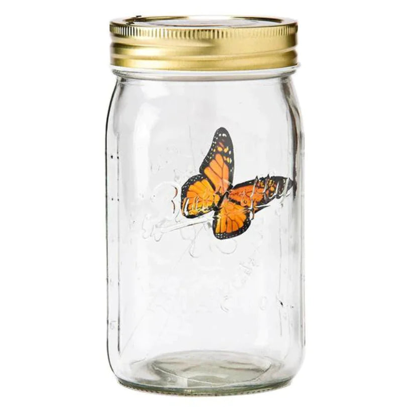 Authentic Flutter Jar