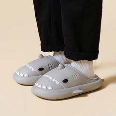 comfysharks™ الشتاء