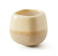 Colorful Thumb-Sized Succulent Planter for Office Desk